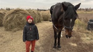 катание на лощадях