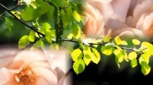 Летит по небу ...