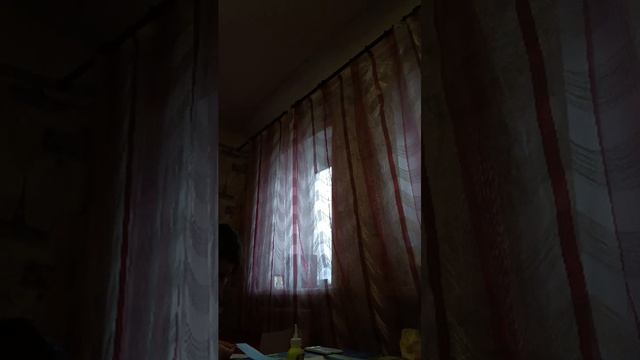 новости с тимуром