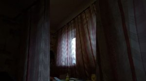 новости с тимуром