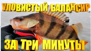Он Реально ловит САМОДЕЛЬНЫЙ БАЛАНСИР для зимней рыбалки