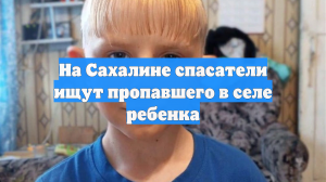 На Сахалине ищут пропавшего в селе ребенка
