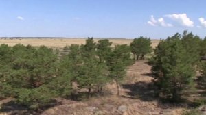 Роберт Рождественский. Спасибо, жизнь! Читает Анатолий Алымов