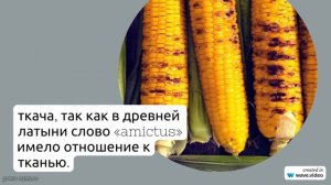 Фамилия Амего: исследуем происхождение, историю и значение, а также разбираем склонение фамилии