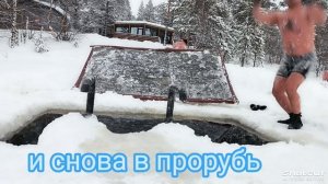 моржи Муравленко