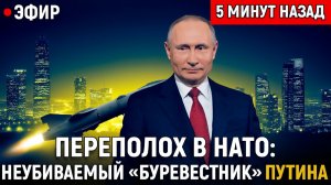 ПЕРЕПОЛОХ в НАТО неубиваемый Буревестник Путина проснулся