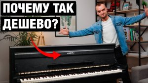 Этот неизвестный Medeli на голову выше Roland и Yamaha! Цифровое пианино Medeli DP650K