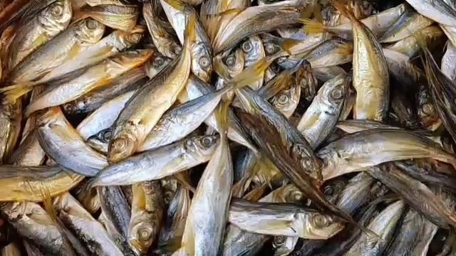 Салака холодного копчения