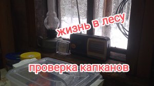 Жизнь в лесу. Проверка капканов.