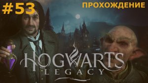ИГРАЕМ В HOGWARTS: LEGACY| #53 РАЗНОСТИ