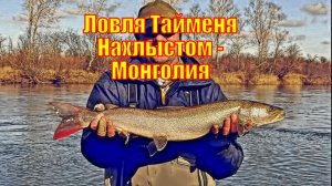 Ловля Тайменя Нахлыстом - Монголия