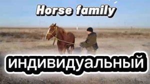 Обучение лошади онлайн. Horse family +79515024687