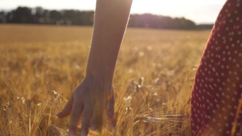 линейный переход