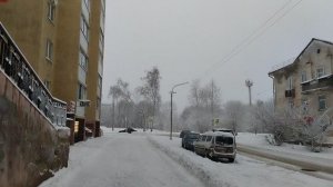 Тамара и Сибас на спец задание 😎
#голуби
#снег
#погода