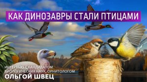 Как динозавры стали птицами. Интервью с кандидатом биологических наук, орнитологом Ольгой Швец.