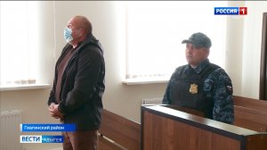 Гиагинский районный суд вынес решение по факту жестокого обращения с животным