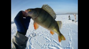 Рыбалка сразу на дороге. Ловим рыбу на Братском Водохранилище. Зимняя рыбалка