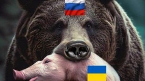 🔴Пленные укры✋🐷🤚🔴