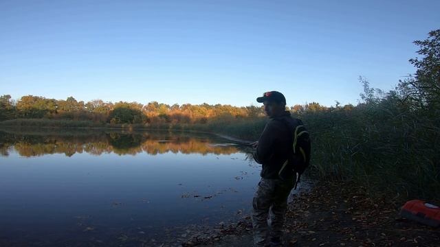 🔥Дикий ЖОР ЩУКИ в заброшенной МИКРО ЛУЖЕ !!! ОТГРЫЗЛА ПОВОДОК !!!