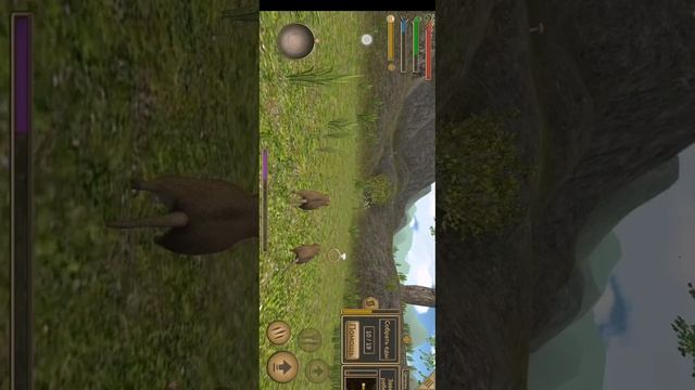 SVID_20251125_180846_1.mp4