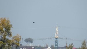 Пустельга в режиме вертолёта