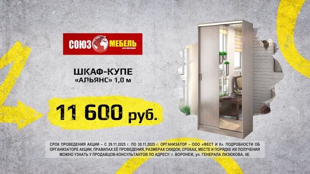 Акция 29-30 ноября 2025 г (г. Воронеж)