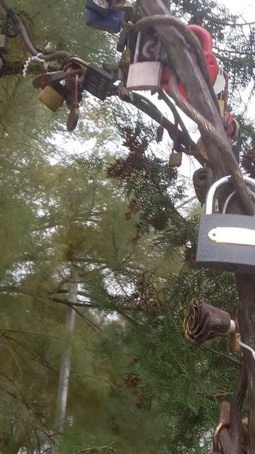 Крым арка с любовными замками и котом серо белым