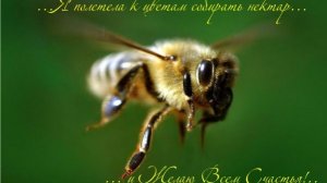 Молитва за мир во всем мире! Live 25.11.2025