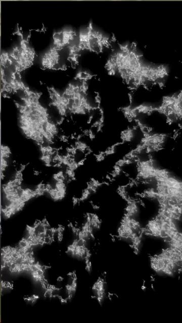 Шум чтобы хорошо к вам относились