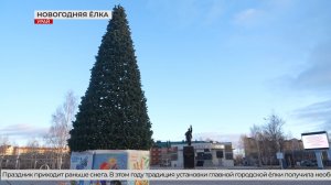 В Урае установили новогоднюю ель