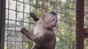 ПРОСТО ОБХОХОЧЕШЬСЯ! Анфиса ты когда-нибудь НАЕШЬСЯ)))