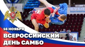 День самбо в России