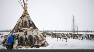 Депутат заявил об устранении правовой неопределенности для представителей кочевых народов