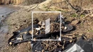 ⚡️Безымянный полк: в посёлке Дмитровка нашли останки с советских солдат!