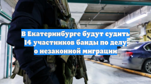 В Екатеринбурге будут судить 14 участников банды по делу о незаконной миграции