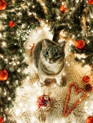 Влада ✌️ Романская🫶