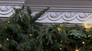 Нет места мишуре: в Петербурге хотят запретить украшать фасады исторических зданий