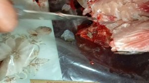 разделка сазана.mp4