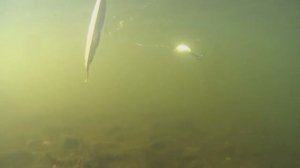 Фанатам спиннинга.Вертушка.Глоток адреналина.Самоделки рулят.