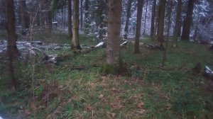 Как Себастьян Перейра ловил 15-летнего капитана