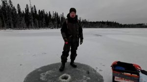 ТРОФЕЙ НА ЖЕРЛИЦЫ. РЫБАЛКА НА ЖЕРЛИЦЫ НА ЛЕСНОМ ОЗЕРЕ. РЫБАЛКА НА САМОЛОВКИ ПО ПЕРВОМУ ЛЬДУ