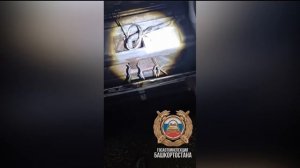 В Башкортостане поймали водителя грузовика с устройством для скрытия номеров