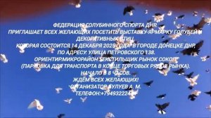 Объявление Донецк ДНР 14.12.25 Ярмарка Голубей.mp4
