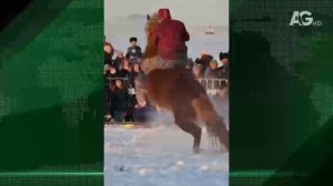 НОВОСТИ МОНГОЛИИ 24.11.2025