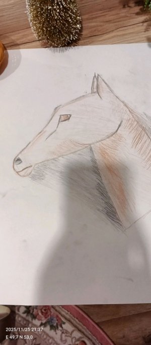 я нарисовала лошадь