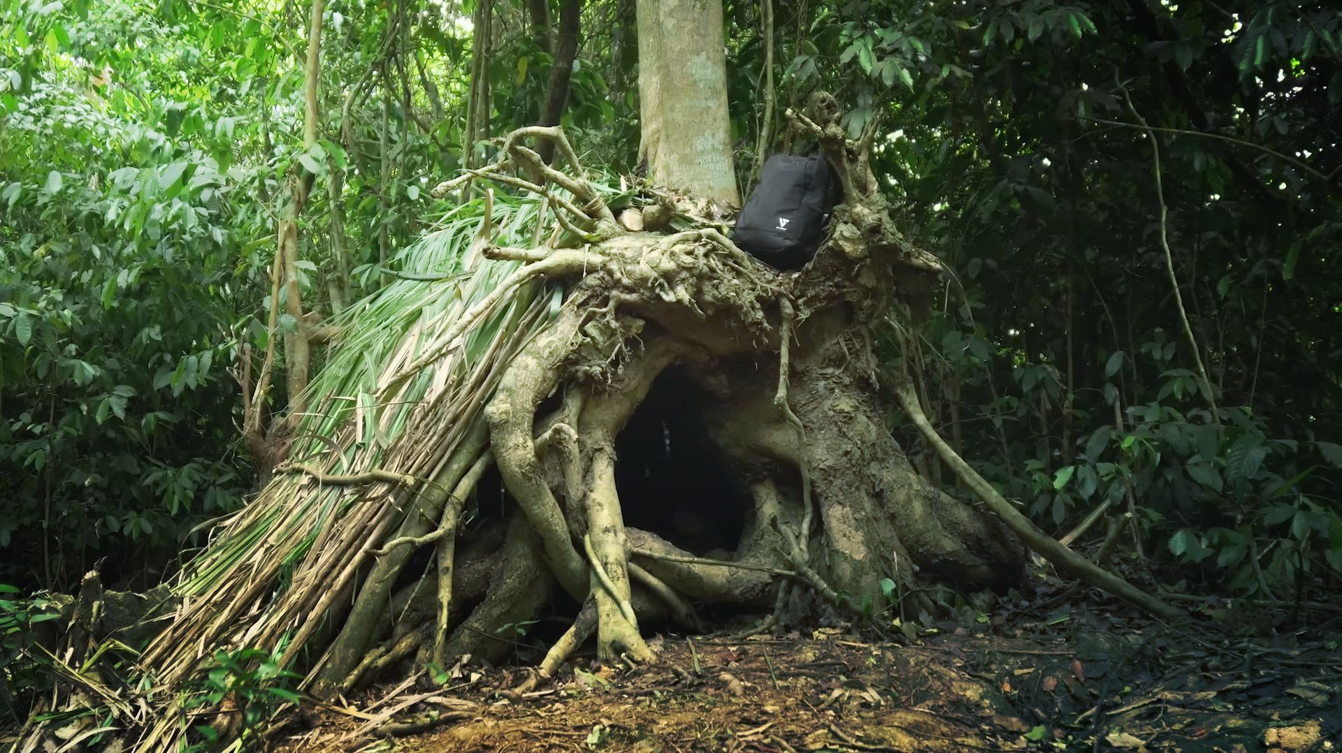 Строю секретное убежище внутри странного упавшего дерева. Ужин на природе. Бушкрафт