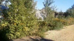 У каждого своя труба....24.08.2022