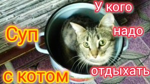 Дом у ЛИМАНА/Классные ПОДАРКИ от подписчицы/Суп с КОТОМ/Ейск❤️