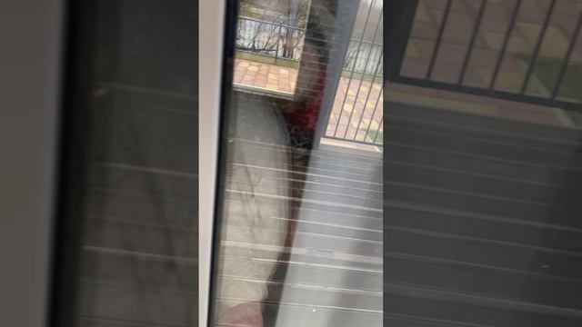 25-11-2025 смотреть онлайн