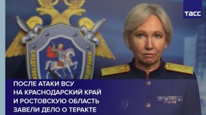 После атаки ВСУ на Краснодарский край и Ростовскую область завели дело о теракте